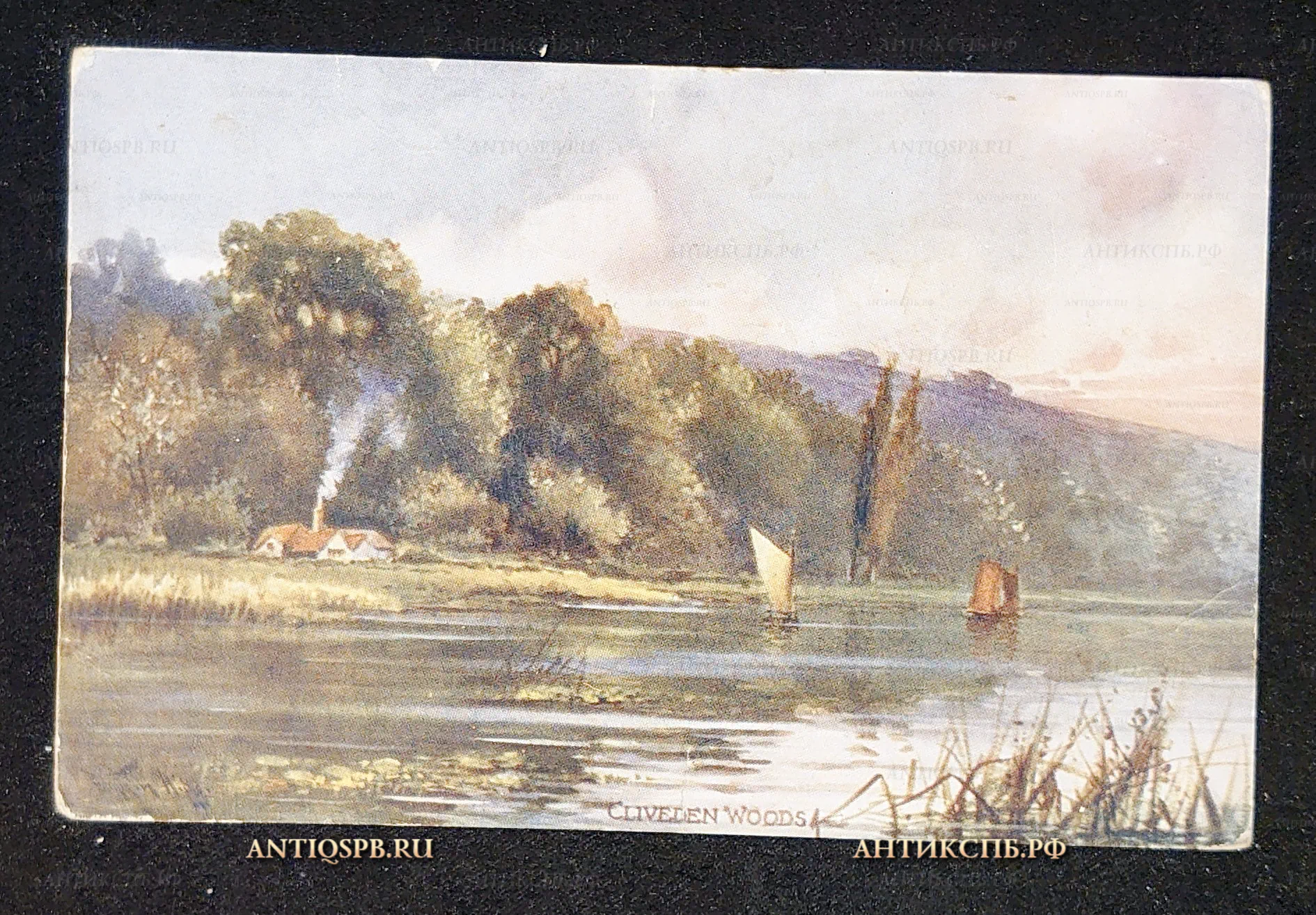 Открытка старинная "Cliveden woods. Кливденские леса ". Printed in England. Англия. Нач. ХХ века. №7357